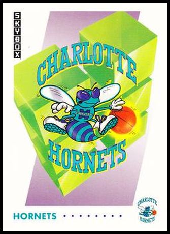 353 Charlotte Hornets Logo